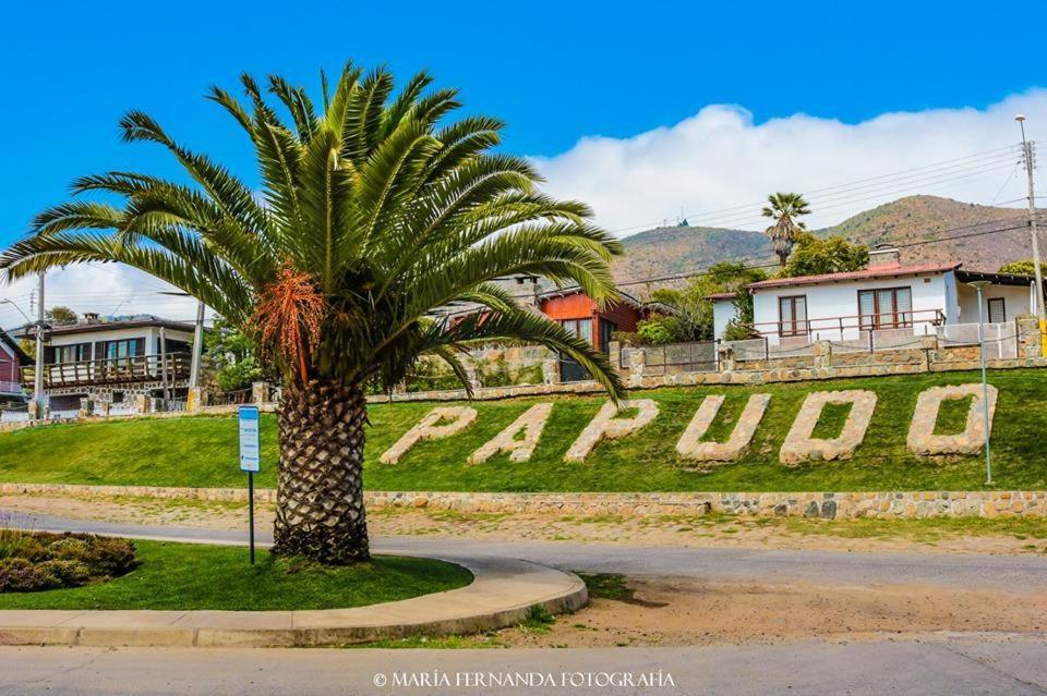 Haydee Lomas De Papudo IV Appartement Buitenkant foto